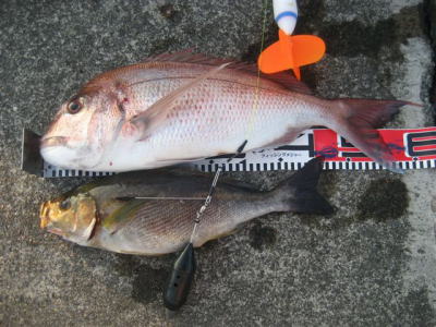 Y様の釣果2 Y様の釣果2